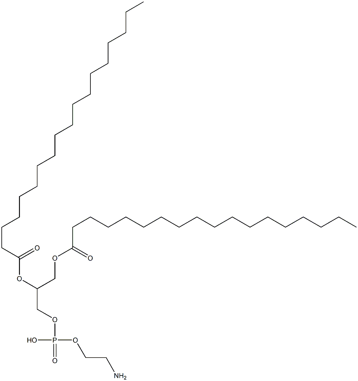 1069-79-0_1,2-二硬酯酰-SN-甘油-3-磷酰乙醇胺标准品